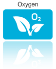 Oxygen Logger Sensor